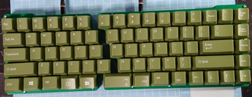 Ipomoea cairica(試作品)