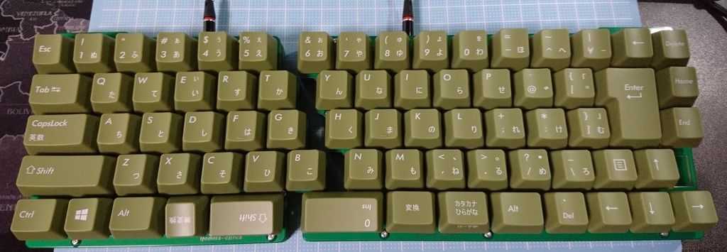 Ipomoea cairica(試作品)