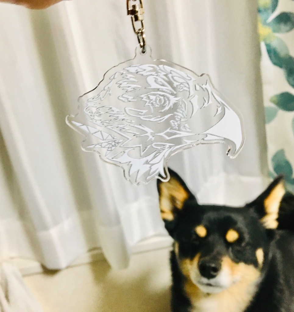 アニマルエル「イヌワシ」アクリルキーホルダー