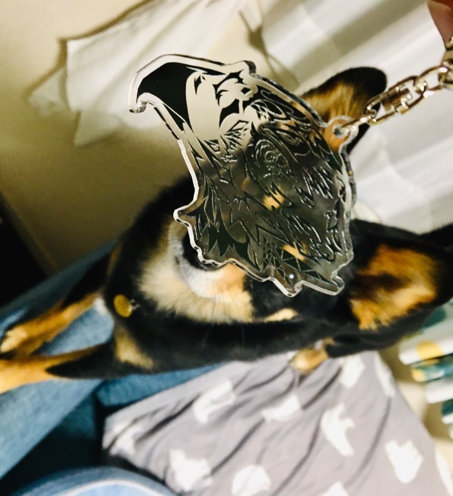 アニマルエル「イヌワシ」アクリルキーホルダー