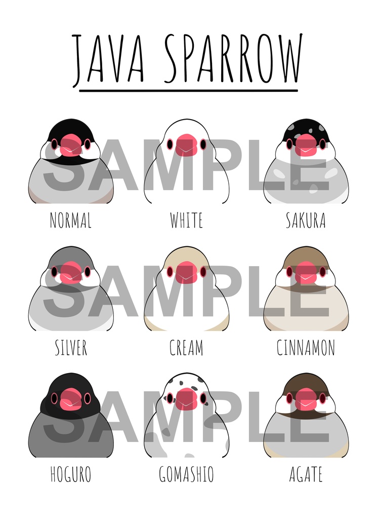 文鳥T どどーん!濃色登場