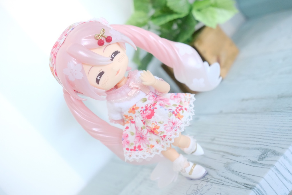 林檎屋の花だより