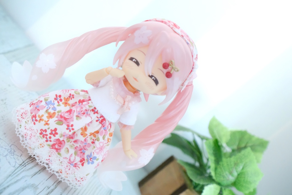 林檎屋の花だより