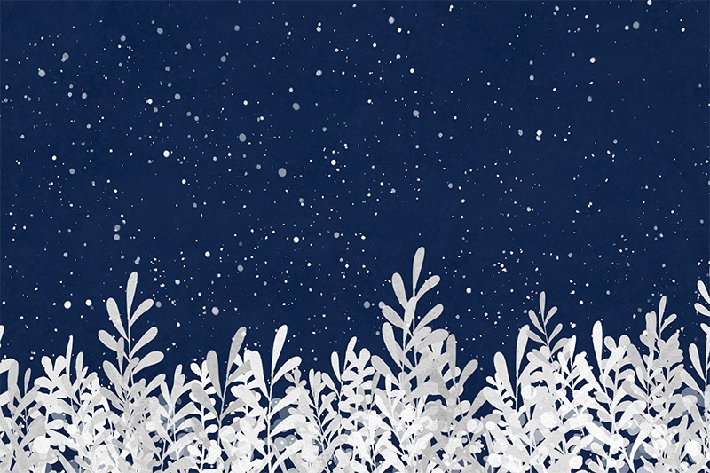 【印刷用】小花のイラスト素材