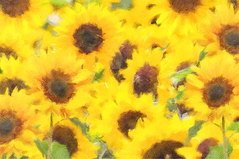 【印刷用】アクリル絵の具で描いたような花の絵画