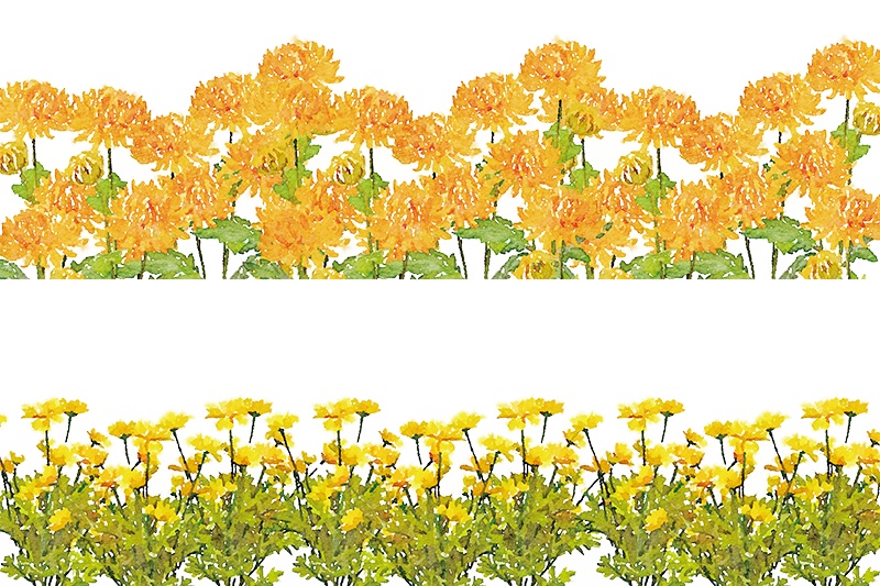 【印刷用】水彩イラスト「花」