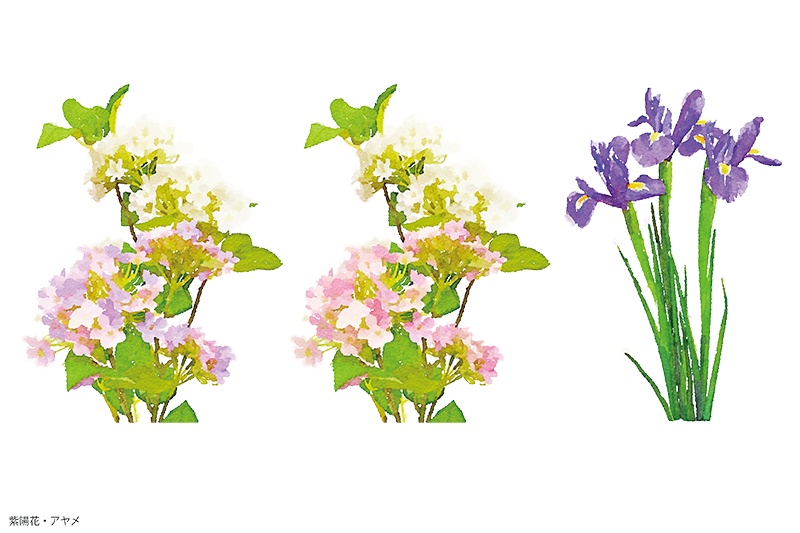 【印刷用】水彩イラスト「花」