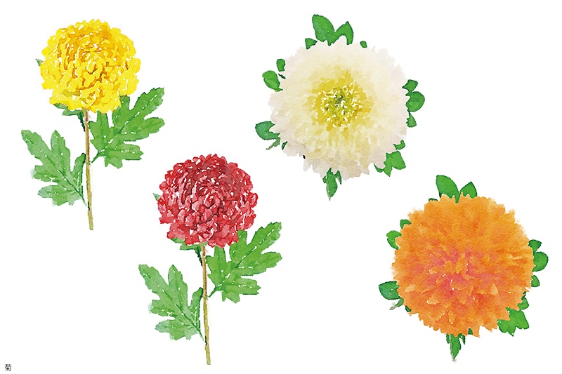 【印刷用】水彩イラスト「花」