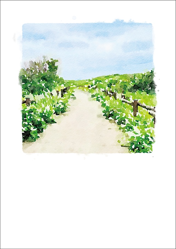 【印刷用】水彩イラストレーション2