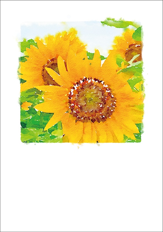 【印刷用】水彩イラストレーション2