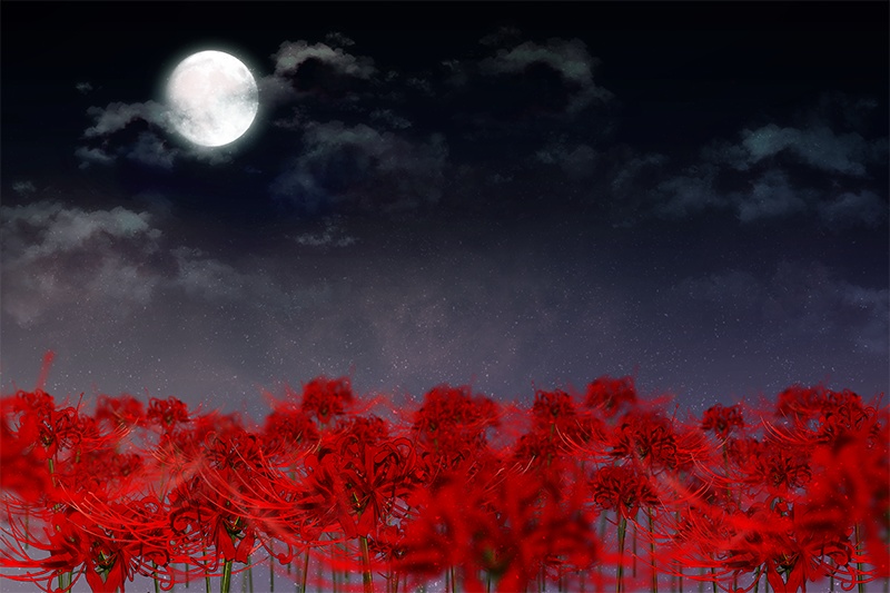 【印刷用】彼岸花の素材