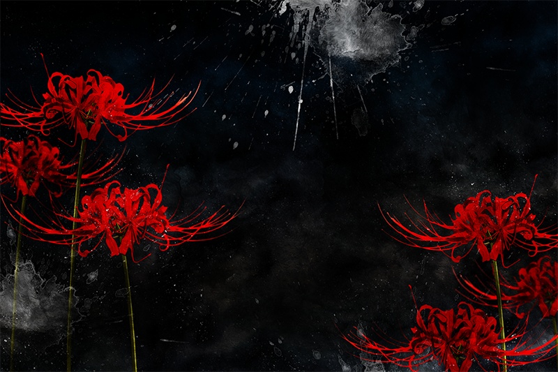 【印刷用】彼岸花の素材