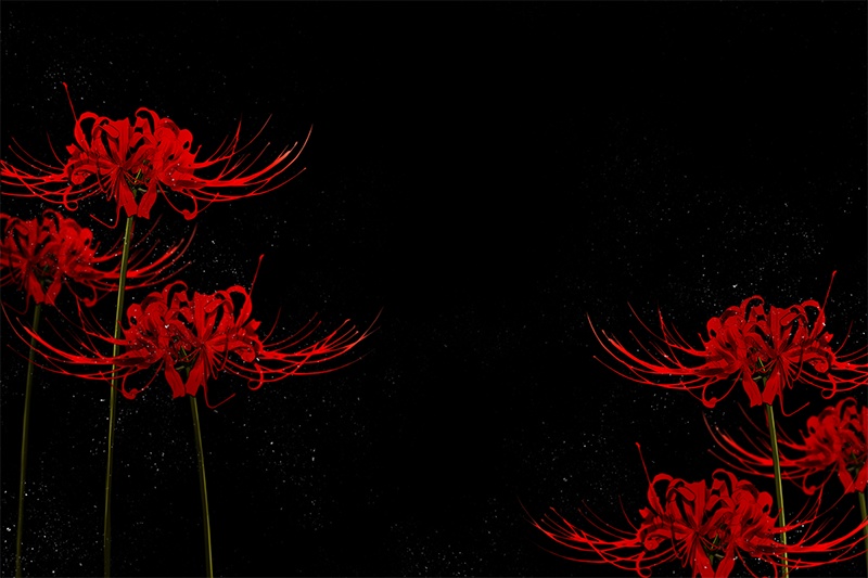 【印刷用】彼岸花の素材