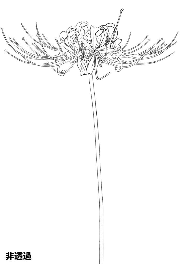 【印刷用】彼岸花の素材