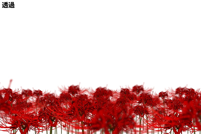 【印刷用】彼岸花の素材