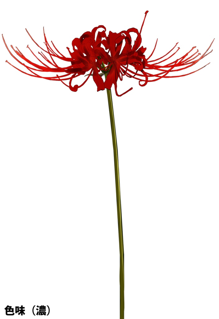 【印刷用】彼岸花の素材