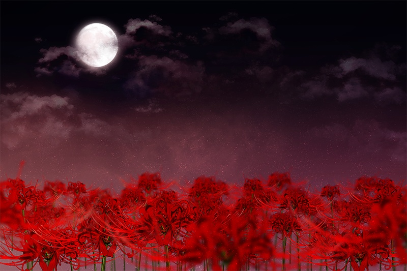 【印刷用】彼岸花の素材