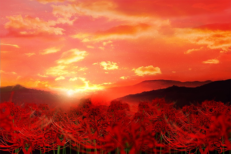 【印刷用】彼岸花の素材