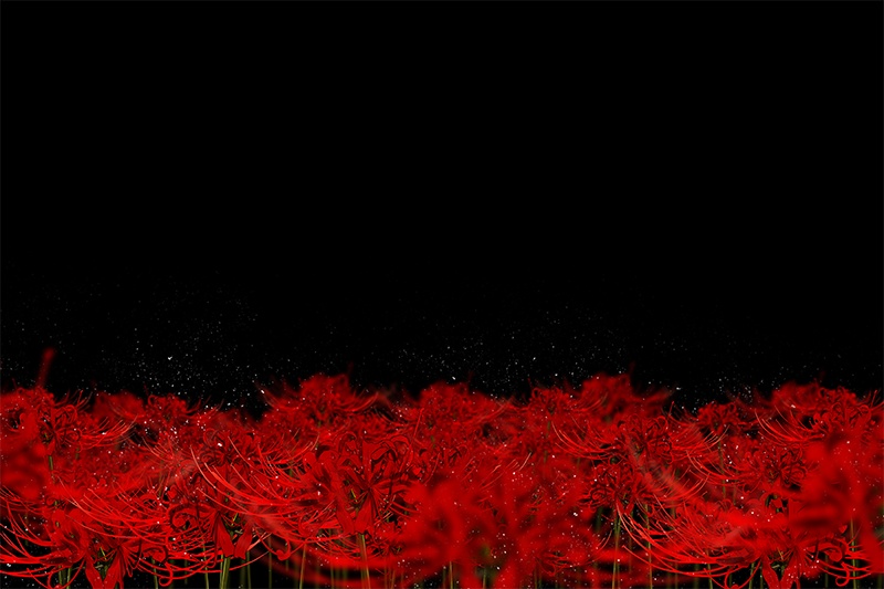 【印刷用】彼岸花の素材