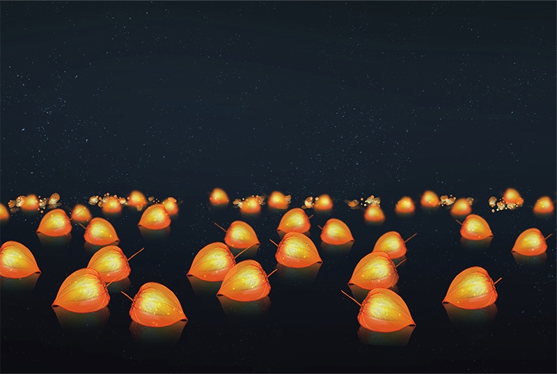 【印刷用】鬼灯の素材