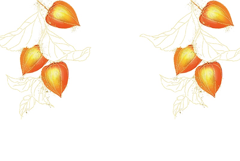 【印刷用】鬼灯の素材