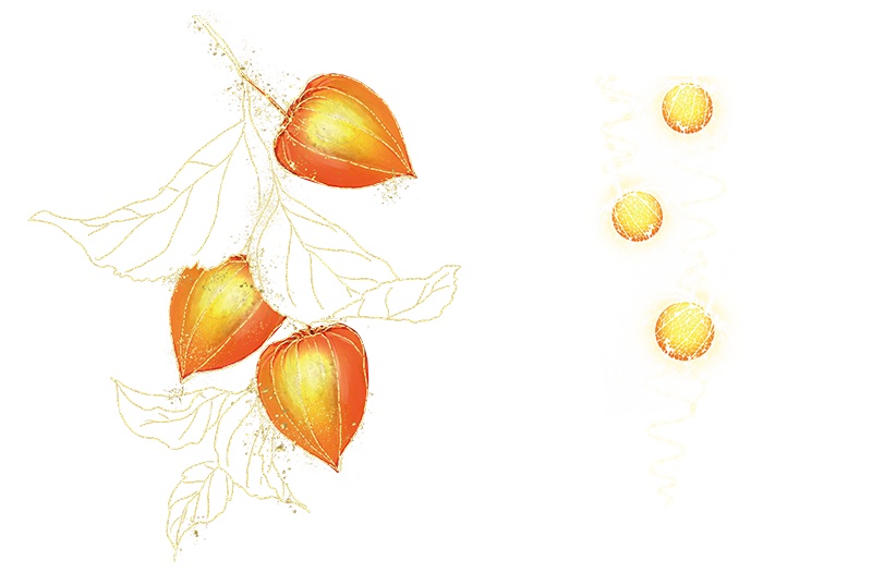 【印刷用】鬼灯の素材