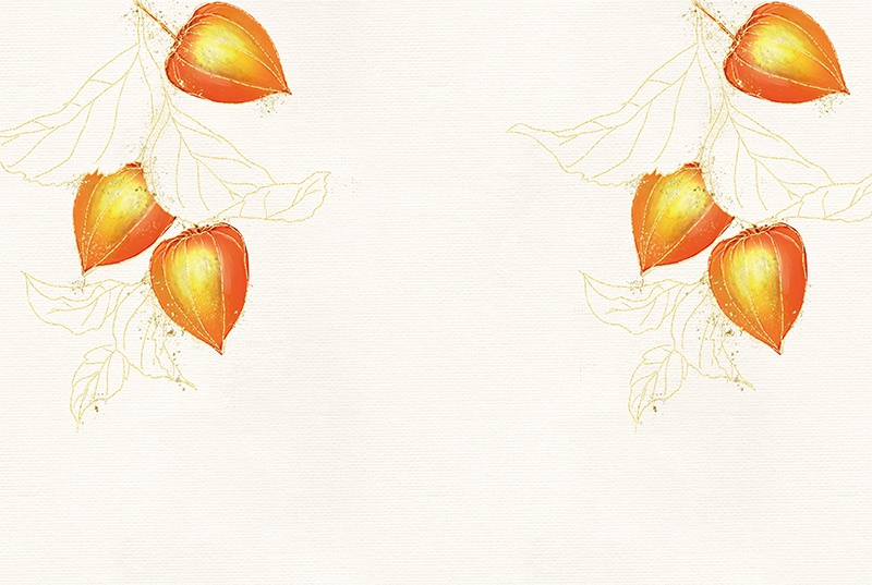 【印刷用】鬼灯の素材