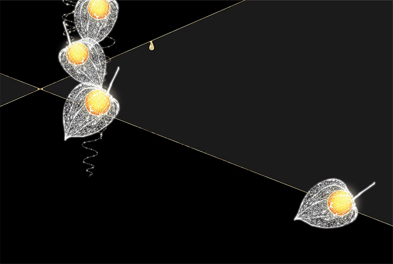 【印刷用】鬼灯の素材