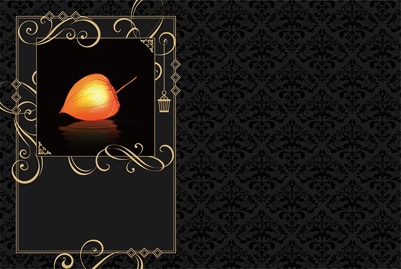 【印刷用】鬼灯の素材