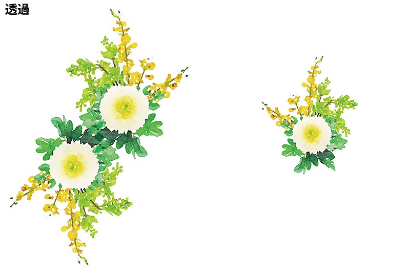 【印刷用】菊の花の素材