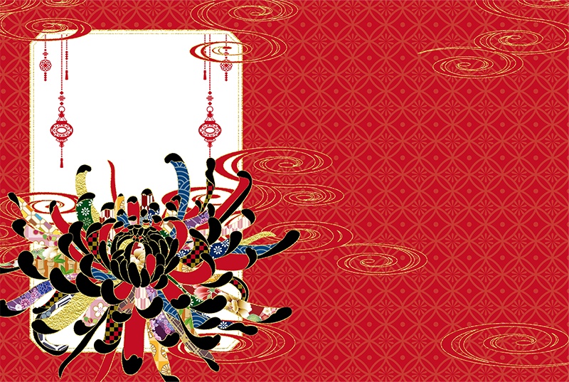 【印刷用】菊の花の素材