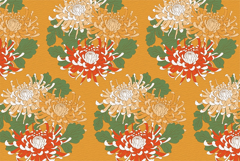 【印刷用】菊の花の素材