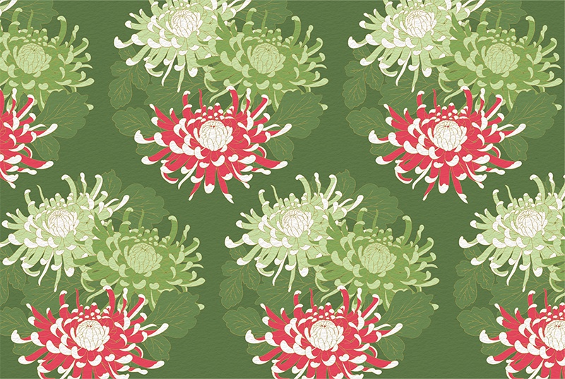 【印刷用】菊の花の素材