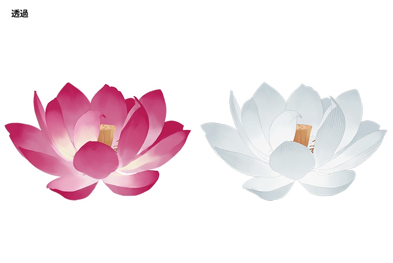 【印刷用】蓮の花の素材