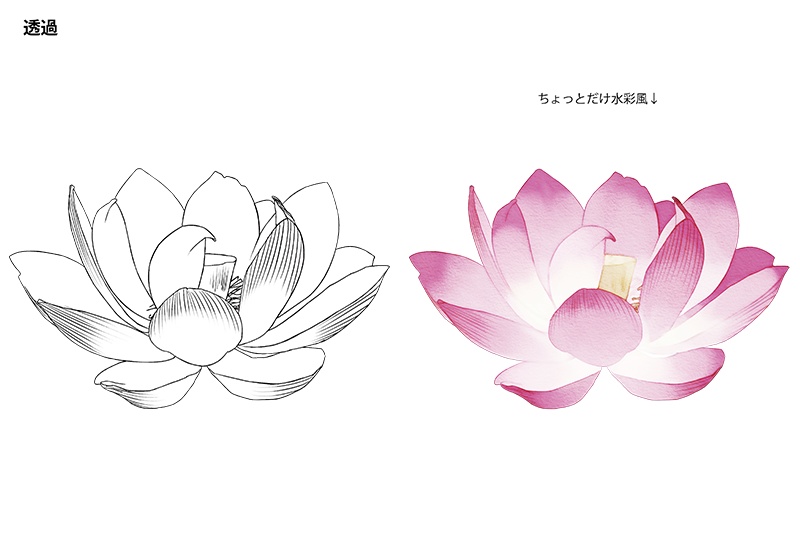 【印刷用】蓮の花の素材