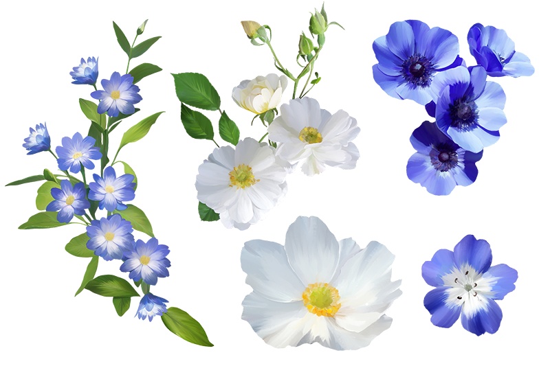 【印刷用】花の素材