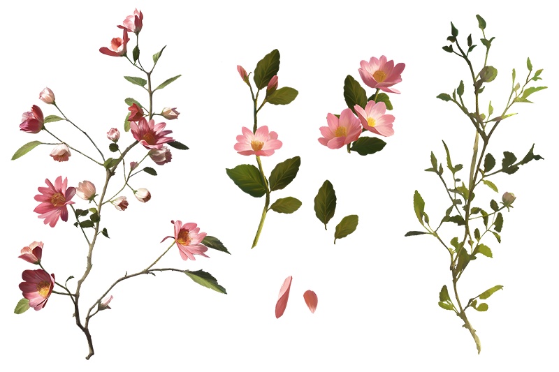 【印刷用】花の素材