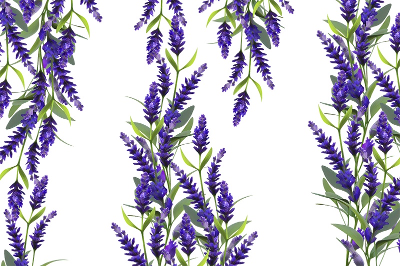 【印刷用】花の素材