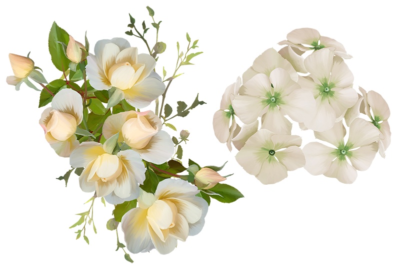 【印刷用】花の素材