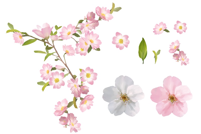 【印刷用】花の素材