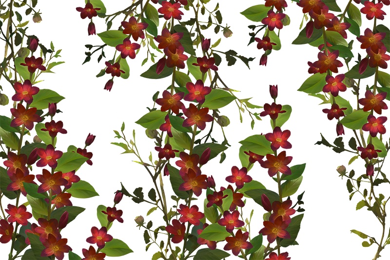 【印刷用】花の素材