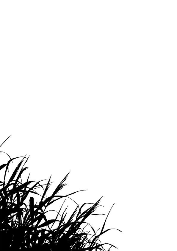 【印刷用】エモい空のイラスト素材