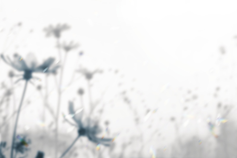 【印刷用】影と光の素材