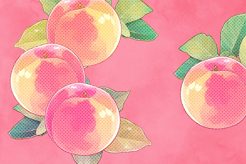 印刷用「桃のイラスト素材」