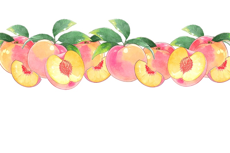 印刷用「桃のイラスト素材」