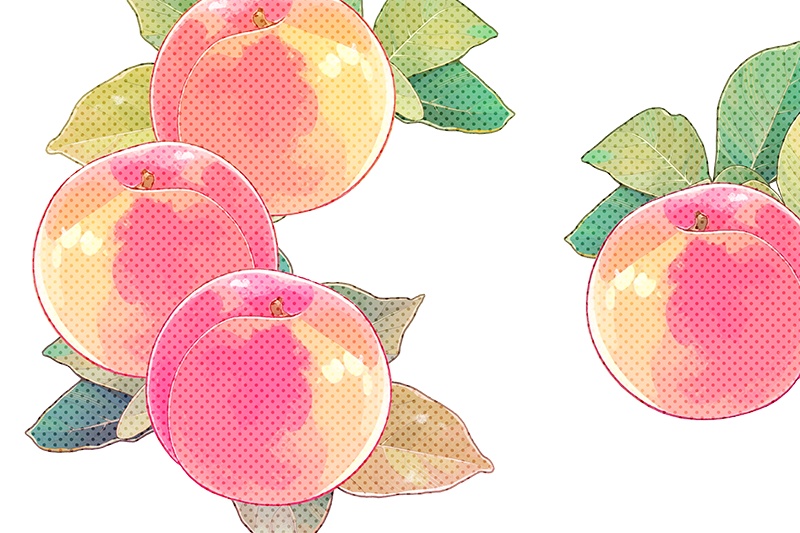 印刷用「桃のイラスト素材」