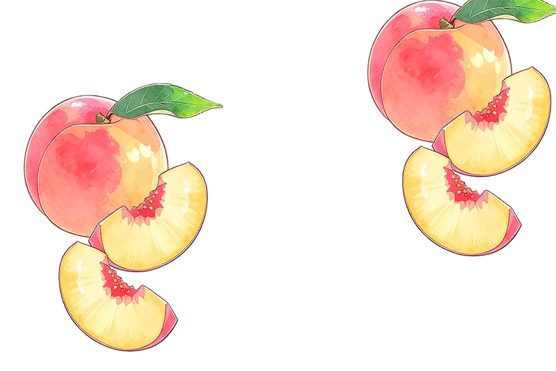 印刷用「桃のイラスト素材」