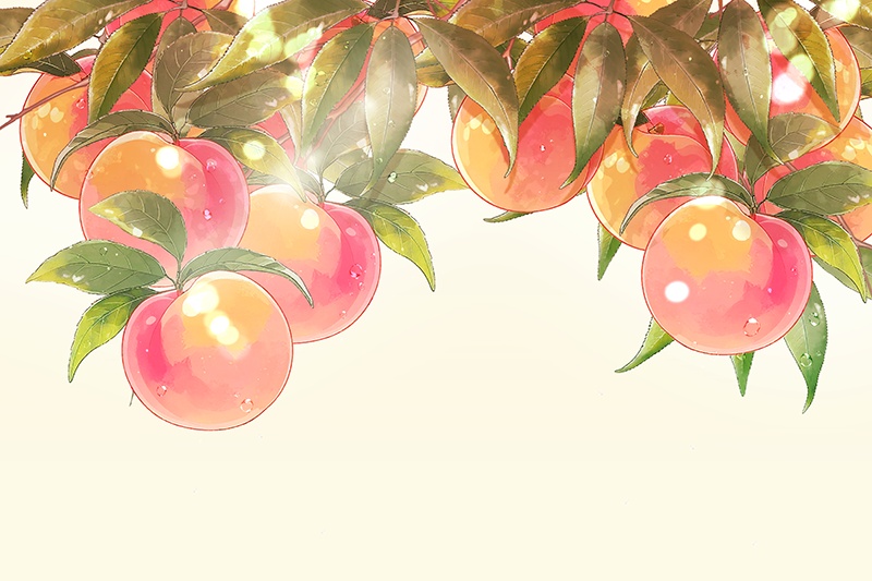 印刷用「桃のイラスト素材」