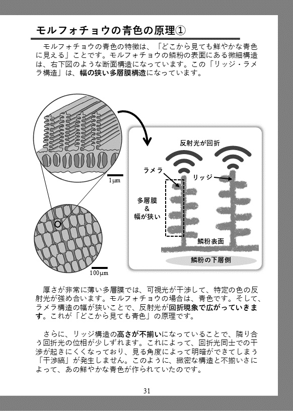 【電子版】携帯獣と表面の科学