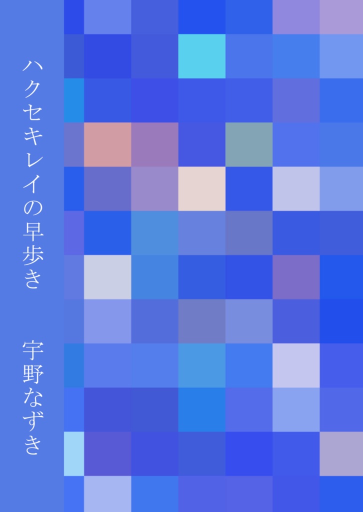 ハクセキレイの早歩き
